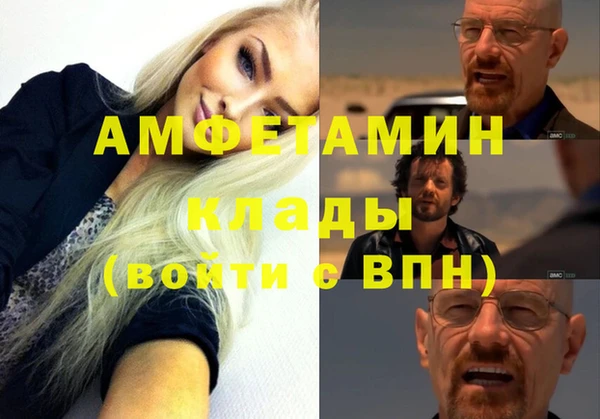 гидра Алексеевка