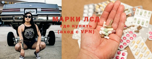 ГАЛЛЮЦИНОГЕННЫЕ ГРИБЫ Рославль