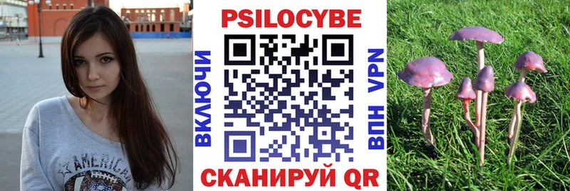 Галлюциногенные грибы мицелий Любань